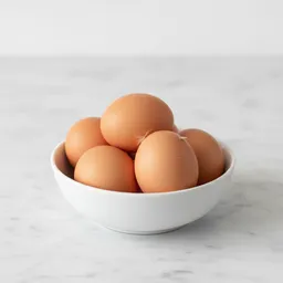 Chicken Egg