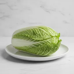 Chinese Cabbage
