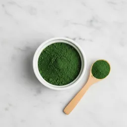Chlorella