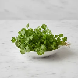 Cilantro