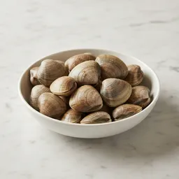 Clams