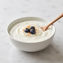Unsweetened Coconut Milk Yogurt (fermented, Non-dairy)