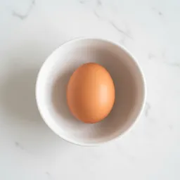 Extra Large Egg