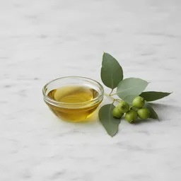 Eucalyptus Oil