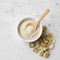 Faba Bean Protein