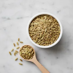 Fennel Seeds