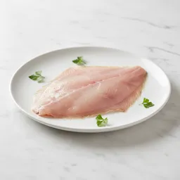 Flounder Fillet