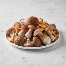 Wild Forest Mushrooms