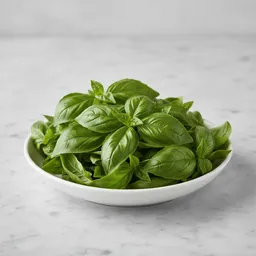 Basil