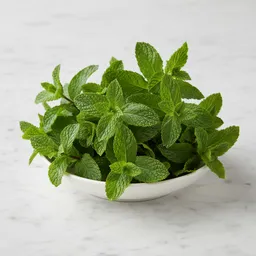 Fresh Mint Leaves