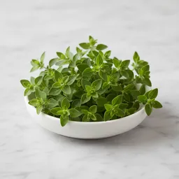 Fresh Oregano