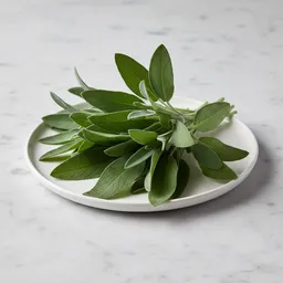 Fresh Sage Leaves
