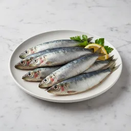 Fresh Sardines