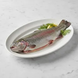 Fresh Trout