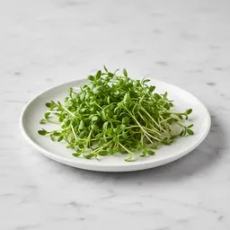 Garden Cress