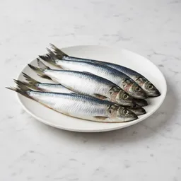 Herring