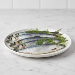 Herring