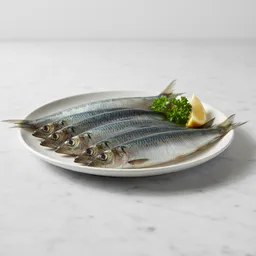 Herring