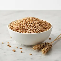 Khorasan Wheat