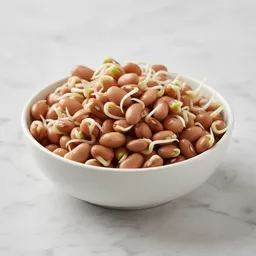 Sprouted Kidney Beans