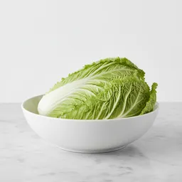 Napa Cabbage