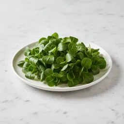 Lamb's Lettuce