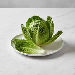 Lettuce (fresh, Raw)