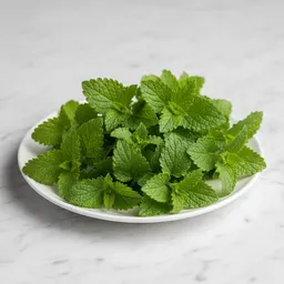 Lemon Balm Leaves
