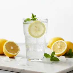 Sparkling Water With Lemon