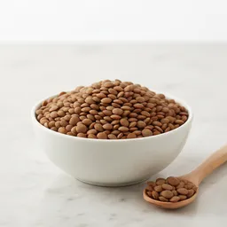 Lentil-based Plant Protein