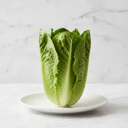 Lettuce (raw)