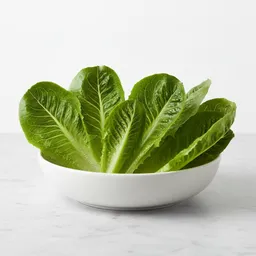 Romaine Or Iceberg Lettuce Leaves (raw)