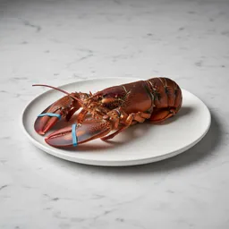 Lobster