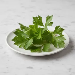 Celery Leaf