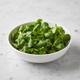 Lamb's Lettuce