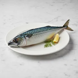 Mackerel