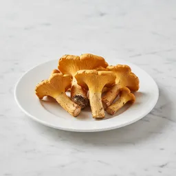 Chanterelle Mushroom