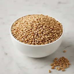 Malted Barley