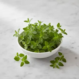 Marjoram