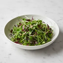 Microgreens Salad