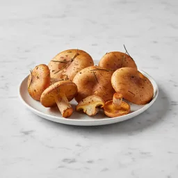 Saffron Milk Cap Mushroom