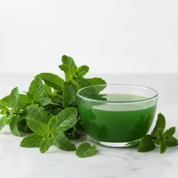Mint Juice