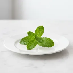 Mint Leaf