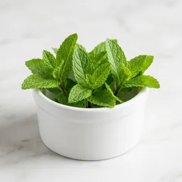 Mint Leaves
