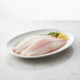 Patagonian Toothfish