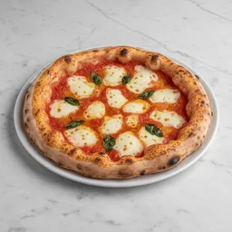 Neapolitan Pizza