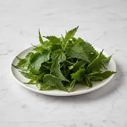 Nettle Leaves