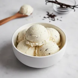 Non-dairy Frozen Dessert