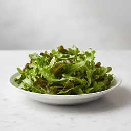 Oak Leaf Lettuce