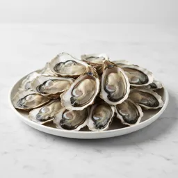 Boiled Oysters